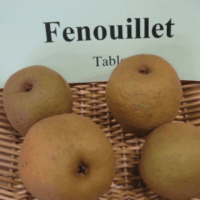 Fenouillet Gris