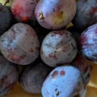 Coeur de Boeuf