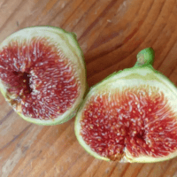 Madeleine des 2 Saisons